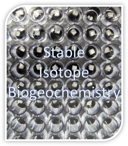 Logo picture of research group 'Stable Isotope Biogeochemistry'