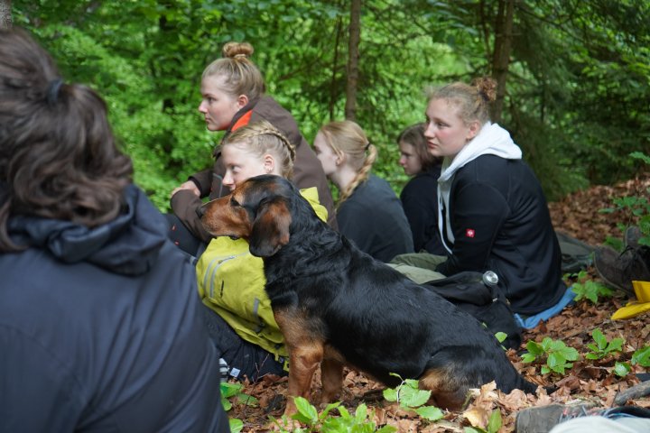 Group photo during FÖJ seminar